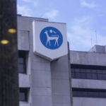 Bank Negara Malaysia Rate Cut: Analysts Divided on Future Moves