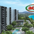ACME holdings
