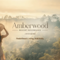 amberwood chinhin jb