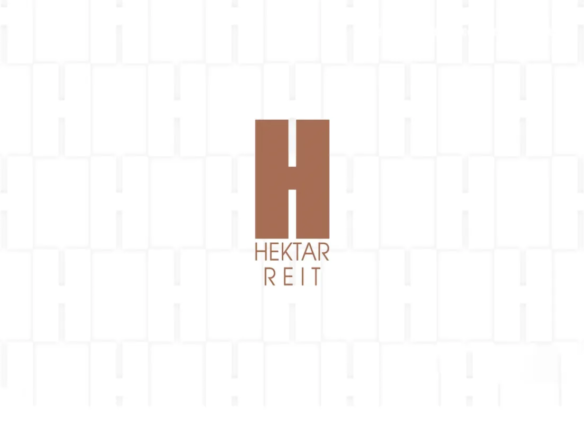 hektar reit