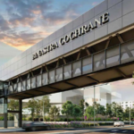 Binastra Cochrane Review: Is It Worth Buying?